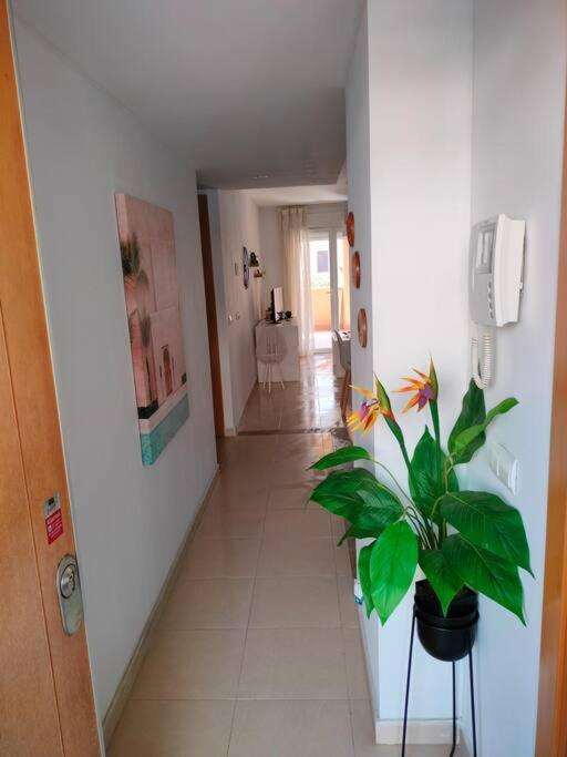 Bajo Con Jardin A Pie De Playa Y Piscina Comunitaria Con Jacuzzi Apartment Playas de Vera Exterior photo
